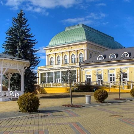 Penzion U Modreho Slona Frantiskovy Lazne Exterior foto