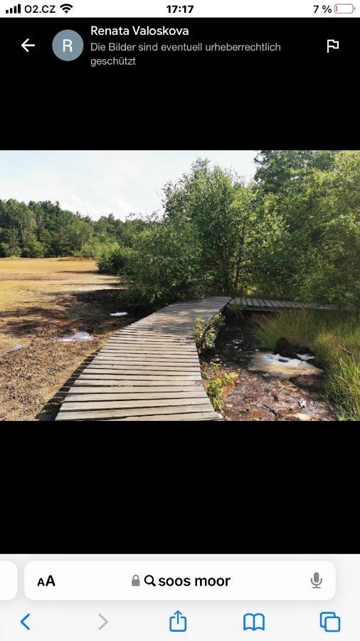 Penzion U Modreho Slona Frantiskovy Lazne Exterior foto