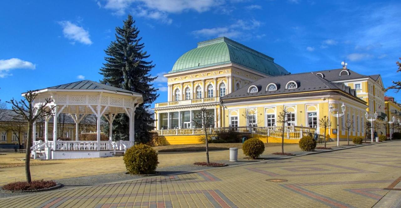 Penzion U Modreho Slona Frantiskovy Lazne Exterior foto