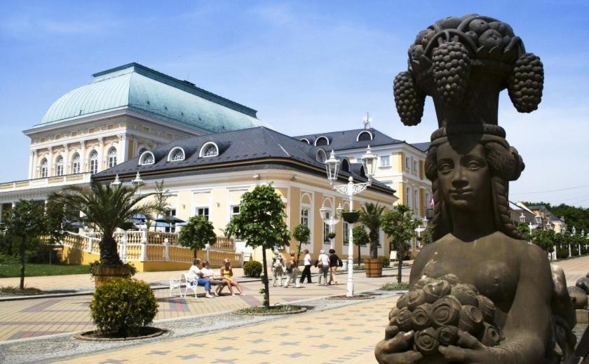 Penzion U Modreho Slona Frantiskovy Lazne Exterior foto