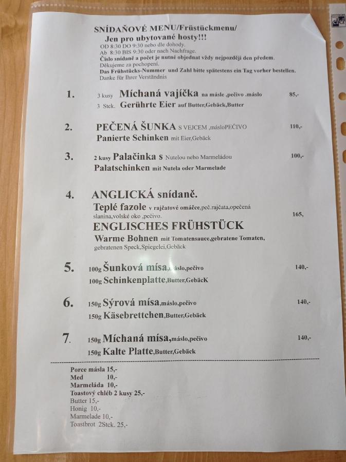 Penzion U Modreho Slona Frantiskovy Lazne Exterior foto